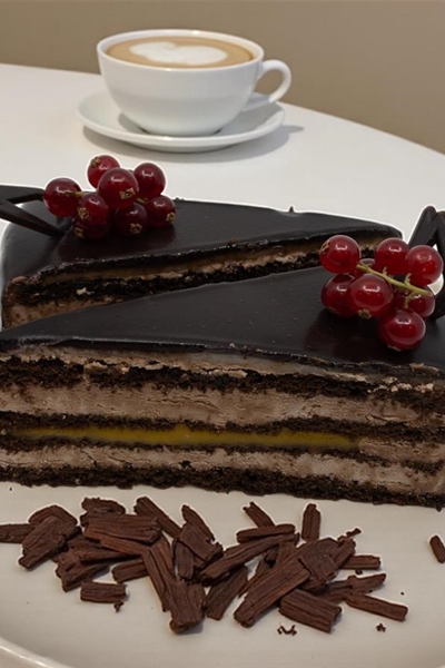 Sacher punt